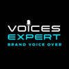 voiceexpert2的简历照片