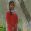 Nikhitha2331's Profile Picture