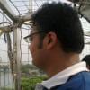 vaibhav10jain's Profile Picture