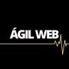 Foto de perfil de agilweb20