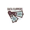 DataflippersHQ adlı kullanıcının Profil Resmi