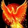  Profilbild von Phoenix19841985