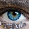 parabalavw sitt profilbilde