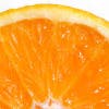 orangesolut's Profile Picture