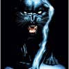 blackpanther161 Profilképe