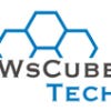 WsCubeTech's Profile Picture