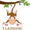 itlangoor's Profile Picture