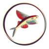  Profilbild von FlyingFish1