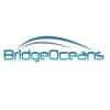 bridgeoceans's Profile Picture