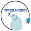 ITfreelancer08's Profile Picture