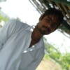 Foto de perfil de sumitrahinj