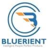 Profilový obrázek uživatele bluerient