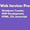 Gambar Profil webservicespro