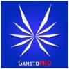 Foto de perfil de GamstoPro