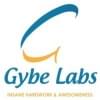 รูปภาพประวัติของ GybeLabs
