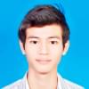 SyedUmarul's Profile Picture