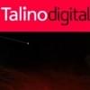 TalinoDigital's Profile Picture