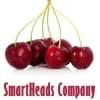 Изображение профиля SmartHeads