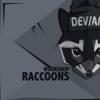 raccoonsWorkshop的简历照片
