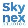 skynexstudios's Profile Picture